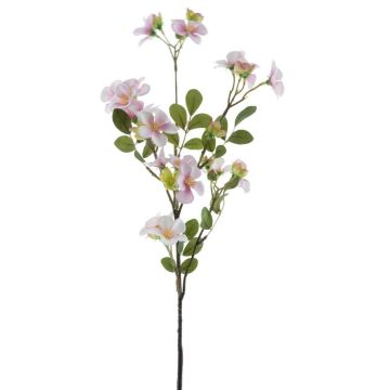 Decorative flower Impatiens WENIA, pink-white, 28"/70cm Decorative flower Impatiens WENIA, pink-white, 28"/70cm