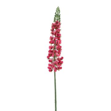 False flower Lupine UKAPI, fuchsia, 3ft/105cm False flower Lupine UKAPI, fuchsia, 3ft/105cm