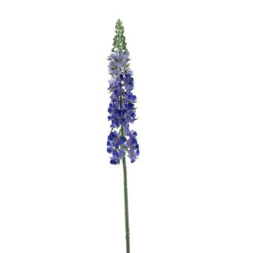 False flower Lupine UKAPI, purple-blue, 3ft/105cm False flower Lupine UKAPI, purple-blue, 3ft/105cm