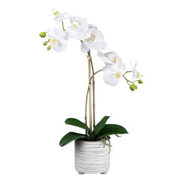 False Phalaenopsis orchid GROTVER, ceramic pot, roots, white, 20"/50cm False Phalaenopsis orchid GROTVER, ceramic pot, roots, white, 20"/50cm