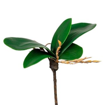 Artificial leaves, Phalaenopsis orchid ZULKRAM, support stick, aerial roots, 5.9"/15cm Artificial leaves, Phalaenopsis orchid ZULKRAM, support stick, aerial roots, 5.9"/15cm