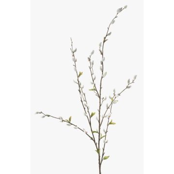 Decorative branch catkin willow WALDEMAR, flowering, brown, 4ft/120cm Decorative branch catkin willow WALDEMAR, flowering, brown, 4ft/120cm