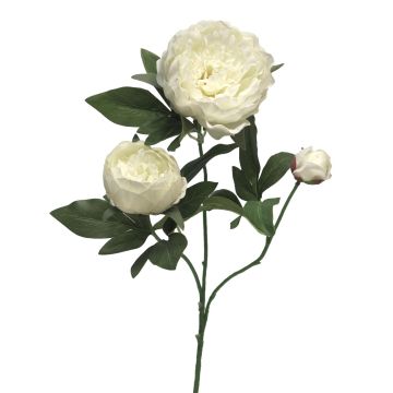 Decorative peony branch MEIRU, cream, 70cm, Ø9–12cm Decorative peony branch MEIRU, cream, 70cm, Ø9–12cm