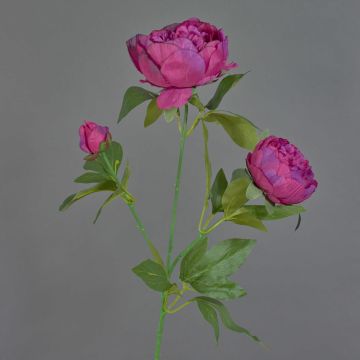 Decorative peony branch MEIRU, dark purple, 70 cm, Ø 9–12 cm