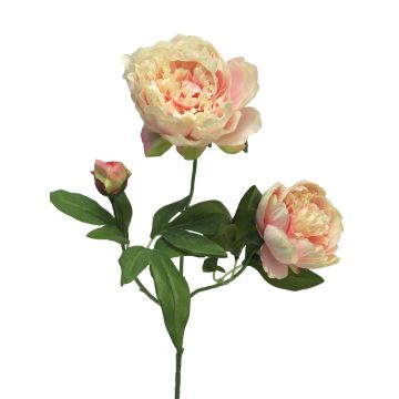 Decorative peony branch MEIRU, apricot-pink, 70cm, Ø9–12cm