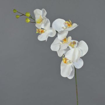 Artificial Phalaenopsis Orchid Branch LANUA, cream, 70 cm, Ø 8.5–12 cm Artificial Phalaenopsis Orchid Branch LANUA, cream, 70 cm, Ø 8.5–12 cm