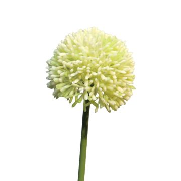 Artificial Allium BAILIN, cream-green, 45cm, Ø6.5cm