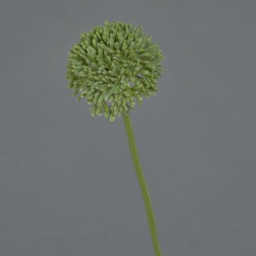 Artificial Allium BAILIN, green, 45cm, Ø6.5cm Artificial Allium BAILIN, green, 45cm, Ø6.5cm