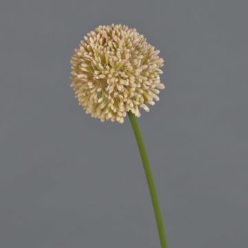Artificial Allium BAILIN flower, pink-cream, 45 cm, Ø 6.5 cm