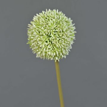 Artificial flower: Allium BAILIN, cream-green, 65cm, Ø10cm