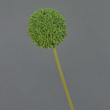 Artificial Allium BAILIN, green, 65cm, Ø10cm