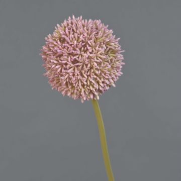 Artificial Allium BAILIN flower, pink and green, 65 cm, Ø 10 cm Artificial Allium BAILIN flower, pink and green, 65 cm, Ø 10 cm