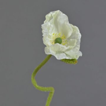 ANKANG decorative poppy, cream, 70cm, Ø9.5cm ANKANG decorative poppy, cream, 70cm, Ø9.5cm