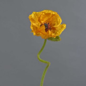 ANKANG decorative poppy, orange-yellow, 70cm, Ø9.5cm ANKANG decorative poppy, orange-yellow, 70cm, Ø9.5cm