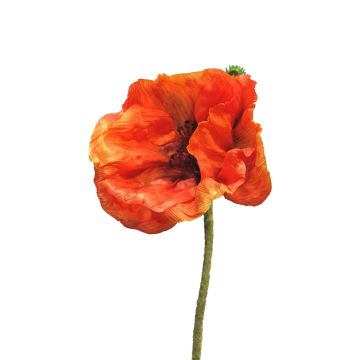 ANKANG decorative poppy, orange, 70cm, Ø9.5cm ANKANG decorative poppy, orange, 70cm, Ø9.5cm