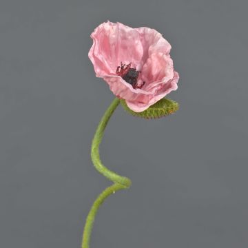 ANKANG decorative poppy, pink, 70cm, Ø9.5cm ANKANG decorative poppy, pink, 70cm, Ø9.5cm