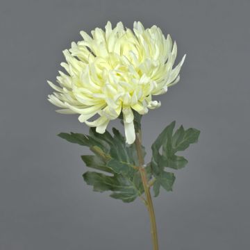 Decorative chrysanthemum LINGYUN, cream, 65 cm, Ø16 cm Decorative chrysanthemum LINGYUN, cream, 65 cm, Ø16 cm
