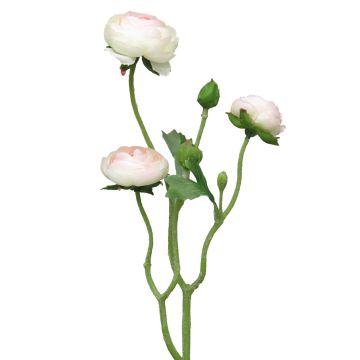 Decorative flowers, JIXIANG ranunculus sprig, white-pink, 20"/50cm