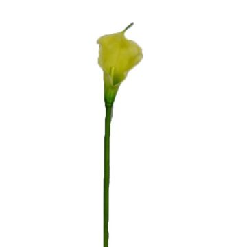 Decorative flower: Zantedeschia DOU, yellow-green, 70 cm Decorative flower: Zantedeschia DOU, yellow-green, 70 cm