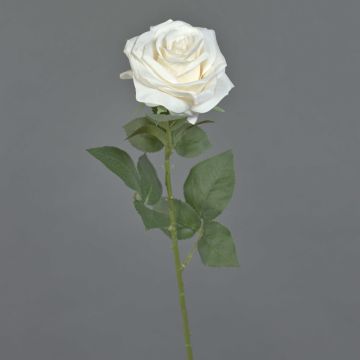 KAILIN artificial rose, cream, 65cm, Ø9cm