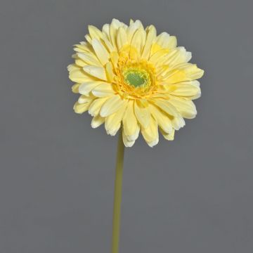 Artificial Gerbera QIUDONG, yellow, 50cm, Ø12cm Artificial Gerbera QIUDONG, yellow, 50cm, Ø12cm
