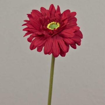 Artificial Gerbera QIUDONG, red, 50cm, Ø12cm Artificial Gerbera QIUDONG, red, 50cm, Ø12cm