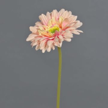 QIUDONG artificial gerbera, peach-pink, 50 cm, Ø 12 cm QIUDONG artificial gerbera, peach-pink, 50 cm, Ø 12 cm