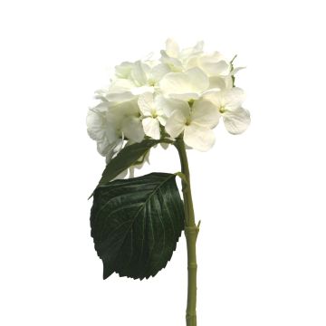 Artificial hydrangea XINCHENG, white, 50 cm, Ø15 cm Artificial hydrangea XINCHENG, white, 50 cm, Ø15 cm