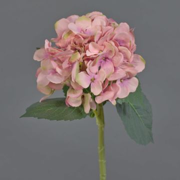 XINCHENG artificial hydrangea, pink and green, 50 cm, Ø15 cm