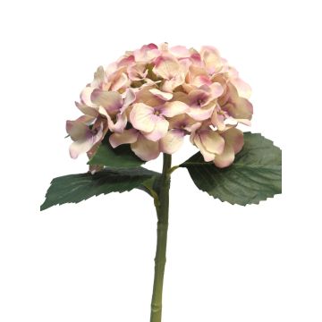 XINCHENG artificial hydrangea, dusky pink and cream, 50 cm, Ø15 cm