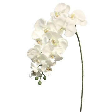 Artificial Phalaenopsis orchid branch JUANRU, white, 100 cm