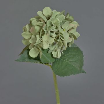 FUXIANG artificial hydrangea, green-pink, 50 cm, Ø 16 cm