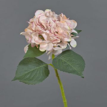 FUXIANG artificial hydrangea, pink-cream, 50cm, Ø16cm
