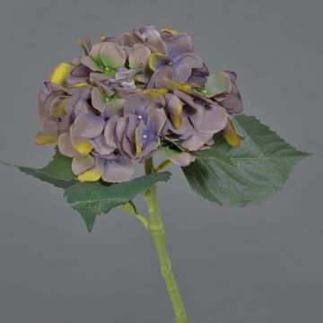 FUXIANG artificial hydrangea, dark lilac-yellow-green, 50 cm, Ø 16 cm