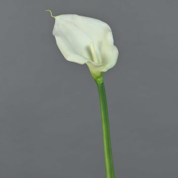 Artificial Zantedeschia flower ZHILONG, white, 55cm, 10x16cm