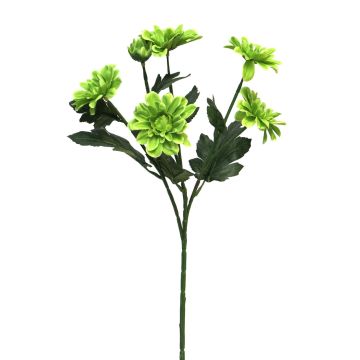 Decorative chrysanthemum branch LONGBAO, green, 60 cm
