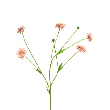 Artificial knapweed branch TAOTAO, pink, 65cm, Ø4–5cm Artificial knapweed branch TAOTAO, pink, 65cm, Ø4–5cm