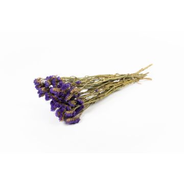 Bouquet of sea lavender BRINJA, dried, dark purple, 20"-26"/50-65cm, Ø7"/18cm