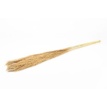 Dried bunch of reeds DONJETA, natural, 4ft/115-120cm, Ø6"/15cm