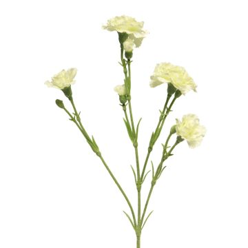 Decorative carnation ‘AHONG’, cream, 60 cm, Ø6–7 cm