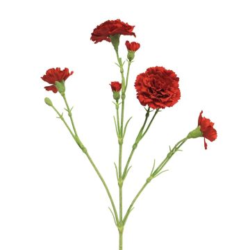 Decorative carnation AHONG, red, 60cm, Ø6–7cm Decorative carnation AHONG, red, 60cm, Ø6–7cm
