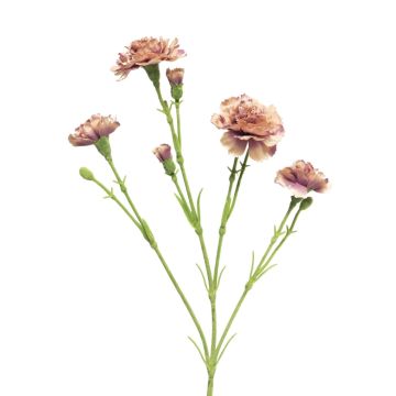 Decorative carnation ‘AHONG’, lilac-pink, 60cm, Ø6–7cm
