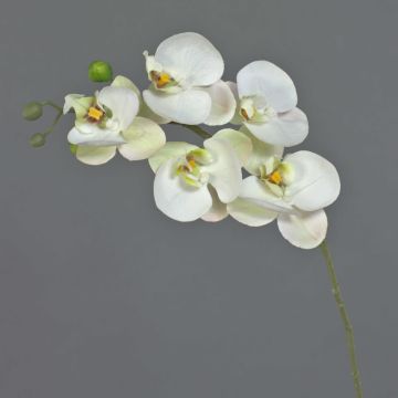 SONGYA Phalaenopsis Orchid Decorative Branch, white and green, 50 cm, Ø 6–7 cm