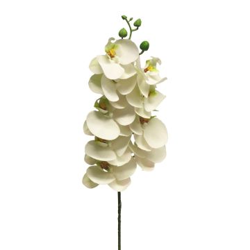 SONGYA Phalaenopsis Orchid Decorative Branch, white, 75cm