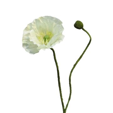 YILAN decorative poppy, white, 60 cm, Ø12 cm YILAN decorative poppy, white, 60 cm, Ø12 cm