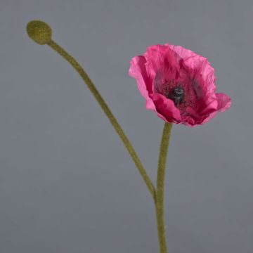 YILAN decorative poppy flower, pink, 60 cm, Ø12 cm YILAN decorative poppy flower, pink, 60 cm, Ø12 cm