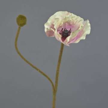 Decorative Poppy Flower YILAN, pink and white, 60 cm, Ø12 cm