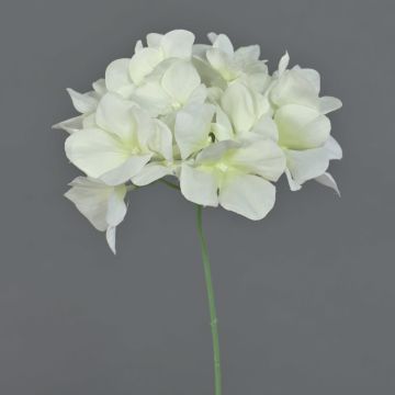 Artificial hydrangea FUHUA, cream, 23 cm, Ø14 cm Artificial hydrangea FUHUA, cream, 23 cm, Ø14 cm