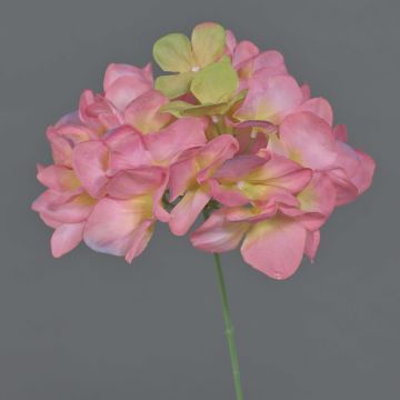 FUHUA artificial hydrangea, pink and green, 23cm, Ø14cm