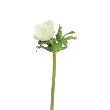 Decorative anemone 'BOYANG', white, 14"/35cm, Ø2.4"/6cm Decorative anemone 'BOYANG', white, 14"/35cm, Ø2.4"/6cm